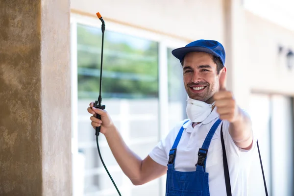 La Porte Wasp Removal
