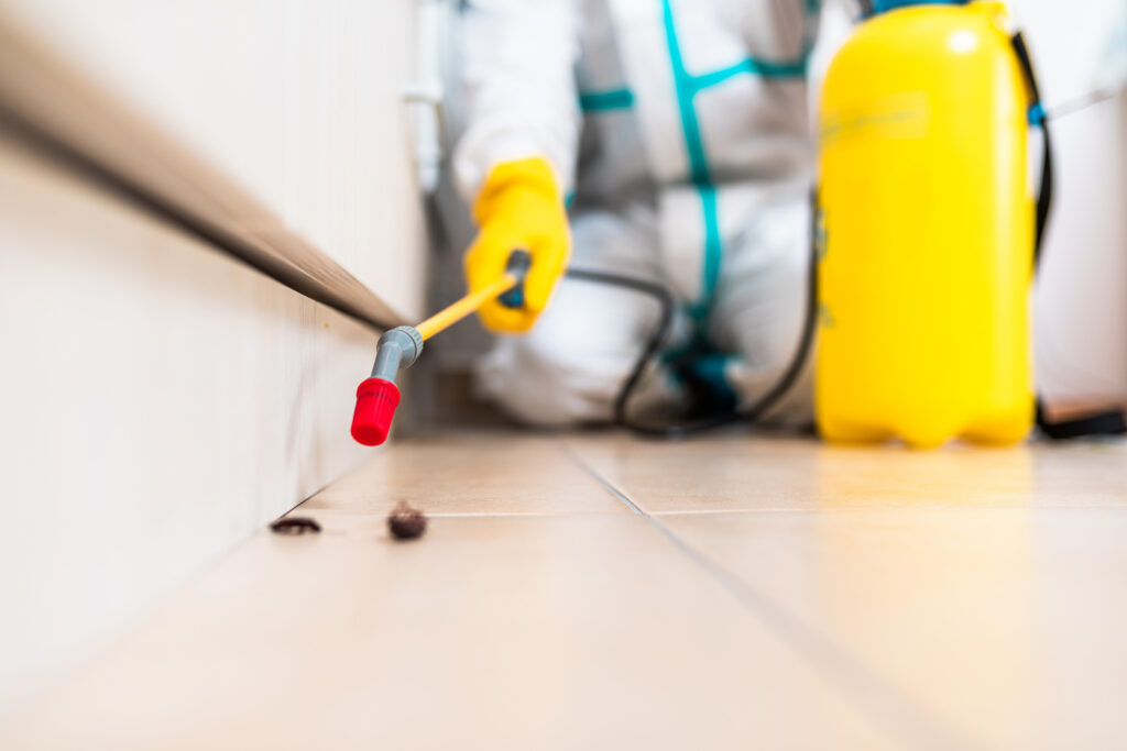 La Porte Cockroach Experts