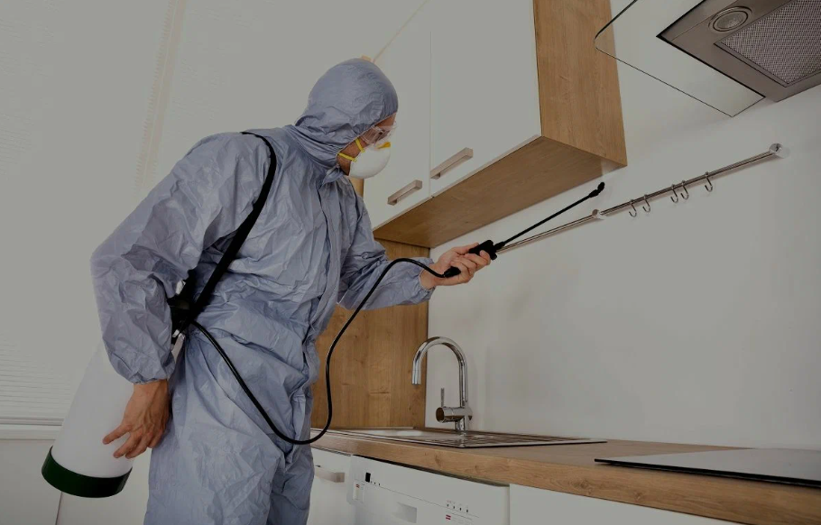 La Porte pest managment